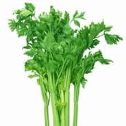Apium graveolens on Steam