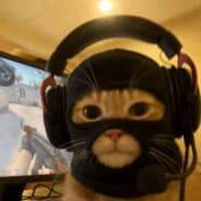 Scripting isn't cheating on Steam
