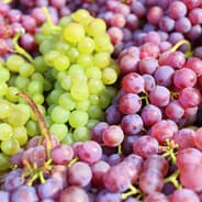 Grape on Steam
